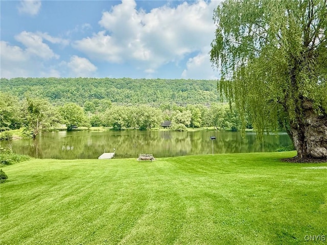 2 Staci Ln, Homer, NY 13077 - photo 4