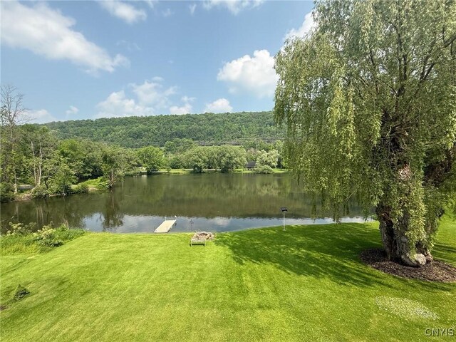2 Staci Ln, Homer, NY 13077 - photo 33