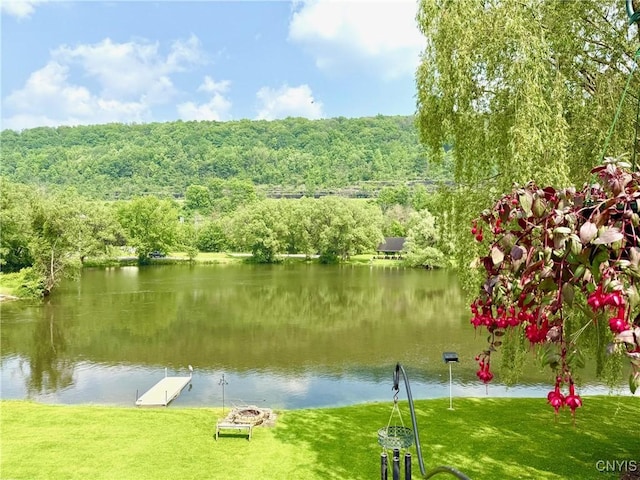 2 Staci Ln, Homer, NY 13077 - photo 32