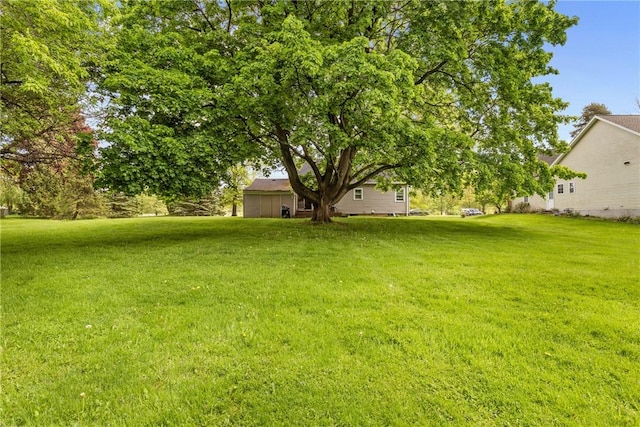 1617 Five Mile Line Rd, Penfield, NY 14526 - view of green lawn