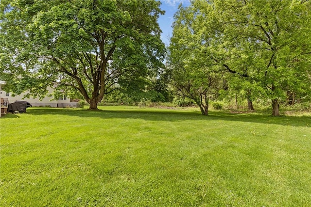 1617 Five Mile Line Rd, Penfield, NY 14526 - view of grassy yard