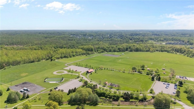 1617 Five Mile Line Rd, Penfield, NY 14526 - aerial view of a forest