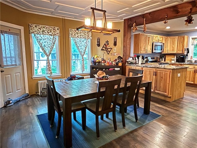 15 Water St, Worcester, NY 12197 - dining space featuring dark wood-type flooring, radiator heating unit, and ornamental molding