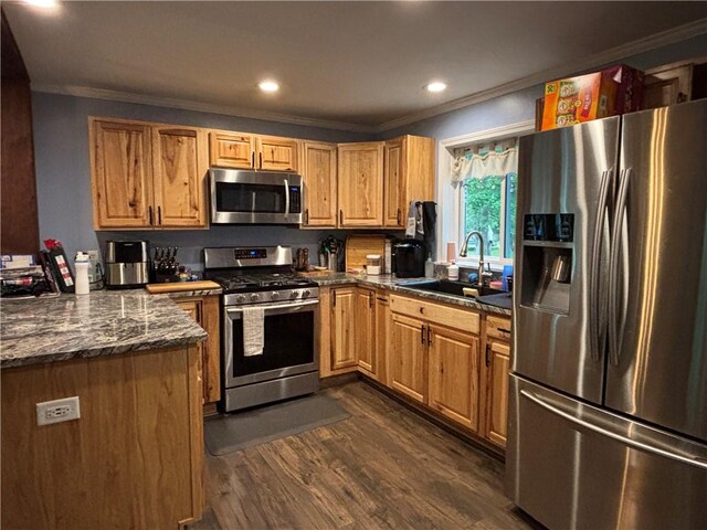 15 Water St, Worcester, NY 12197 - kitchen featuring appliances with stainless steel finishes, ornamental molding, dark wood-style flooring, a peninsula, and recessed lighting