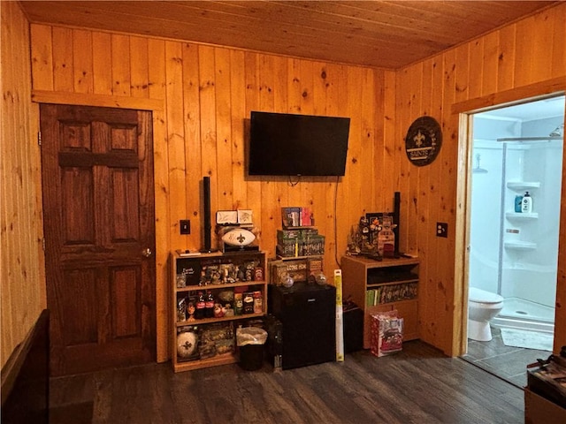 15 Water St, Worcester, NY 12197 - living area featuring wooden ceiling, dark wood finished floors, and wood walls