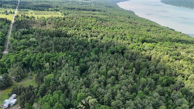 00 State Route 54, Wayne, NY 14840