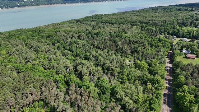 00 State Route 54, Wayne, NY 14840