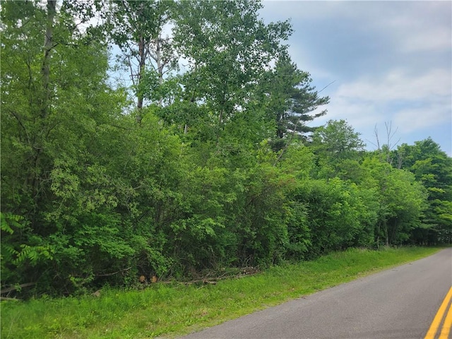 00 State Route 54, Wayne, NY 14840