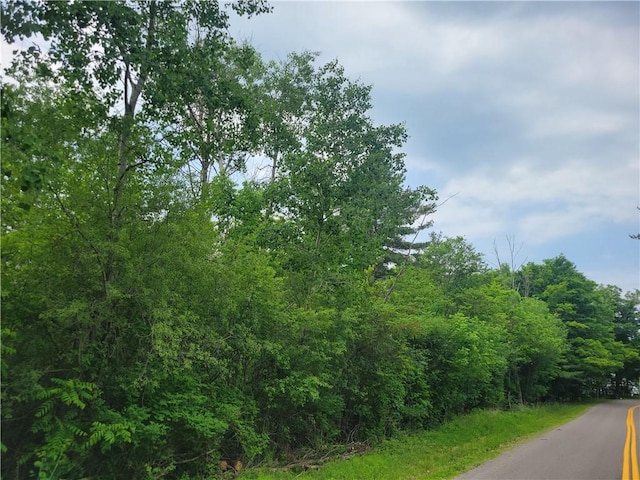 00 State Route 54, Wayne, NY 14840