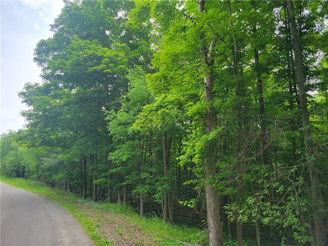 00 State Route 54, Wayne, NY 14840