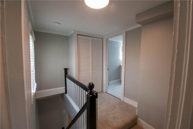 61 Tillman St, Geneva City, NY 14456 - photo 33