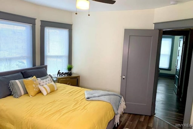 1008 Niagara Ave, Niagara Falls, NY 14305 - bedroom with dark wood-type flooring, multiple windows, and ceiling fan