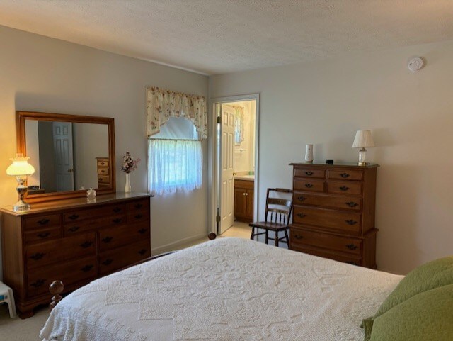 783 Whistlers Cove Ln, Greece, NY 14612 - bedroom featuring a textured ceiling, connected bathroom, and light carpet