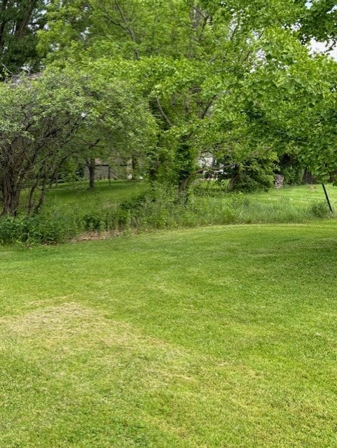 783 Whistlers Cove Ln, Greece, NY 14612 - view of green lawn