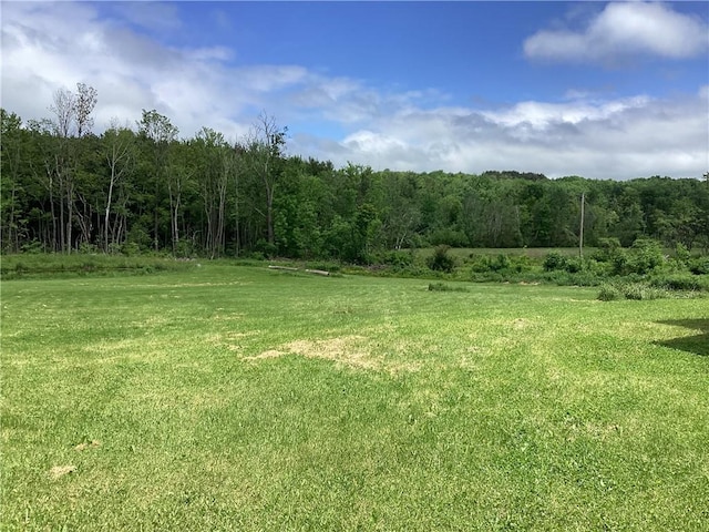 117 Wrench Ln, Coventry, NY 13733 - photo 15