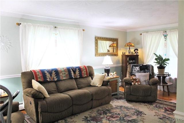 1808 Mulholland Rd, Vienna, NY 13123 - living room with ornamental molding and a baseboard radiator