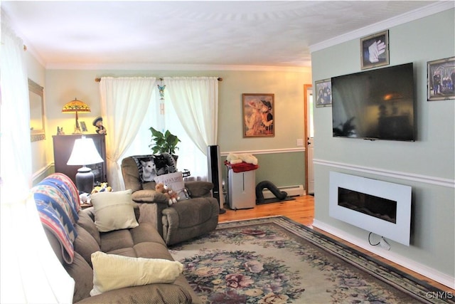 1808 Mulholland Rd, Vienna, NY 13123 - living room with wood finished floors, baseboard heating, crown molding, and a fireplace