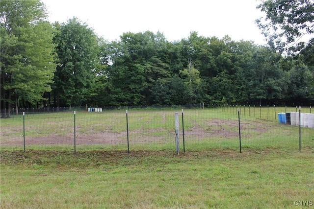 1808 Mulholland Rd, Vienna, NY 13123 - view of yard