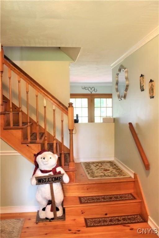 1808 Mulholland Rd, Vienna, NY 13123 - staircase with wood finished floors and crown molding