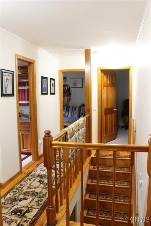 1808 Mulholland Rd, Vienna, NY 13123 - corridor featuring ornamental molding and an upstairs landing