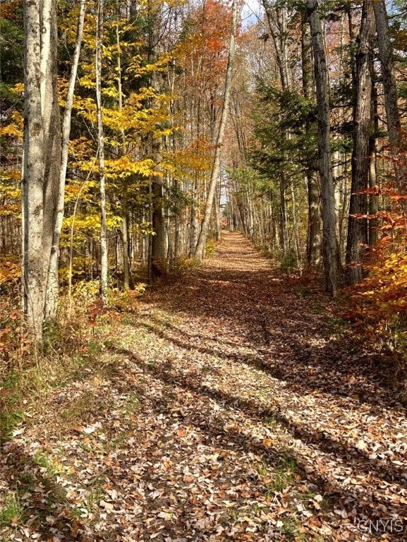 1808 Mulholland Rd, Vienna, NY 13123 - view of street featuring a view of trees