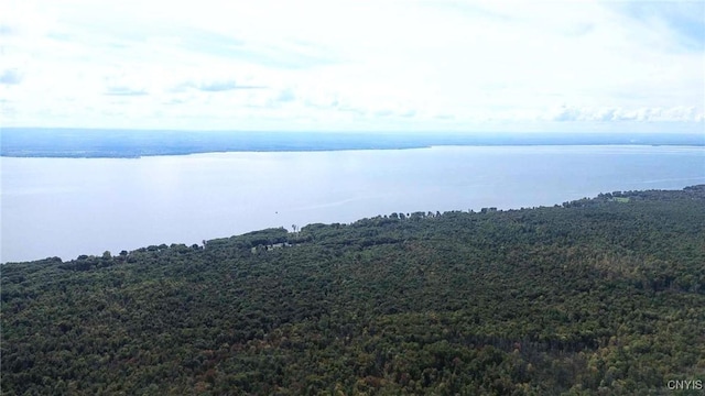 1808 Mulholland Rd, Vienna, NY 13123 - water view featuring a heavily wooded area