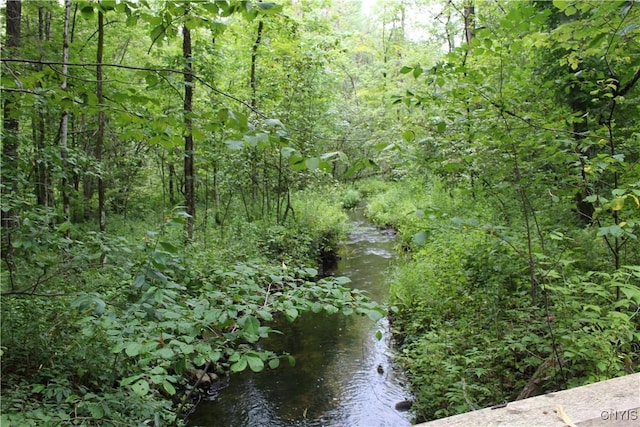 1808 Mulholland Rd, Vienna, NY 13123 - photo 45