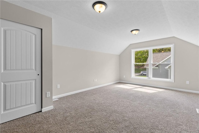408 Kreag Rd, Perinton, NY 14534 - additional living space featuring carpet, lofted ceiling, and a textured ceiling