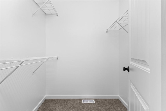 408 Kreag Rd, Perinton, NY 14534 - walk in closet with carpet floors