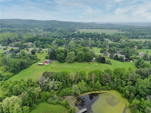 6665 Richardson Rd, Victor, NY 14564 - photo 40