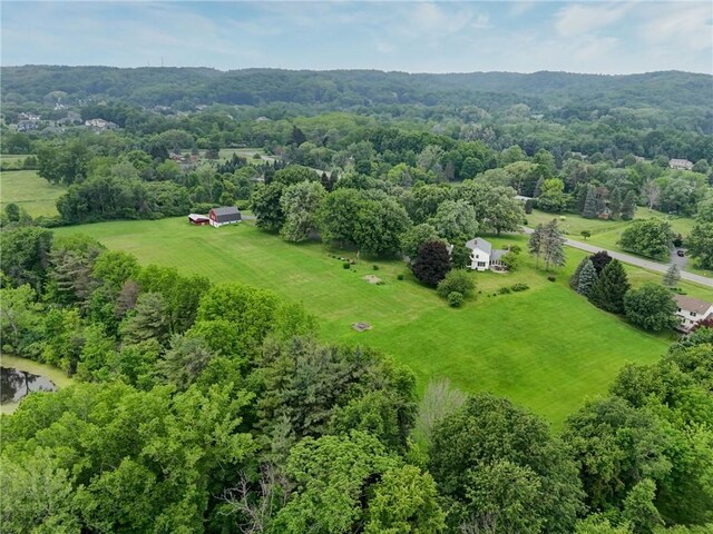 6665 Richardson Rd, Victor, NY 14564 - photo 41
