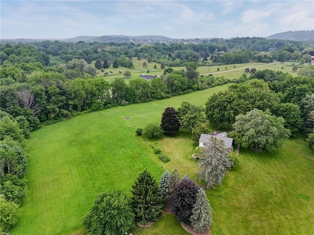 6665 Richardson Rd, Victor, NY 14564 - photo 30