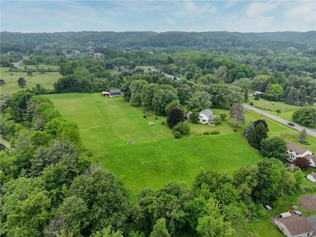 6665 Richardson Rd, Victor, NY 14564 - photo 36