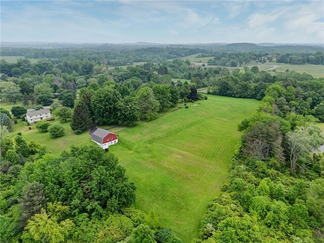 6665 Richardson Rd, Victor, NY 14564 - photo 37
