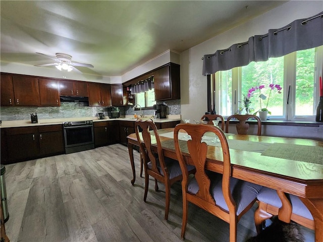 8637 State Route 415, Campbell, NY 14821 - kitchen featuring electric stove, under cabinet range hood, light countertops, backsplash, and light wood-type flooring