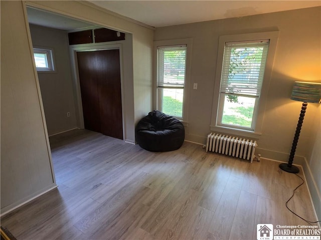 31 W Marvin St, Chautauqua, NY 14757 - photo 18