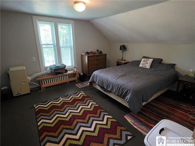 31 W Marvin St, Chautauqua, NY 14757 - photo 26