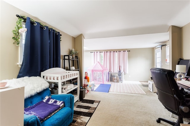 3389 Culver Rd, Irondequoit, NY 14622 - bedroom with multiple windows and carpet