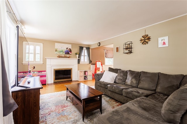 3389 Culver Rd, Irondequoit, NY 14622 - living area featuring wood finished floors, plenty of natural light, a fireplace with flush hearth, and ornamental molding