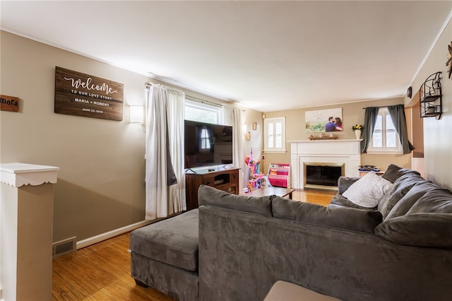 3389 Culver Rd, Irondequoit, NY 14622 - living room featuring wood finished floors and a fireplace with flush hearth