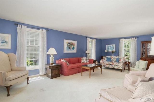 117 Halwill Dr, Amherst, NY 14226 - living room with carpet floors
