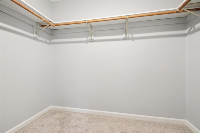 1A Salmon Run, Parma, NY 14468 - spacious closet with carpet flooring