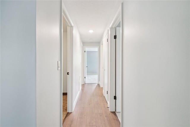 1A Salmon Run, Parma, NY 14468 - corridor featuring light wood finished floors and baseboards