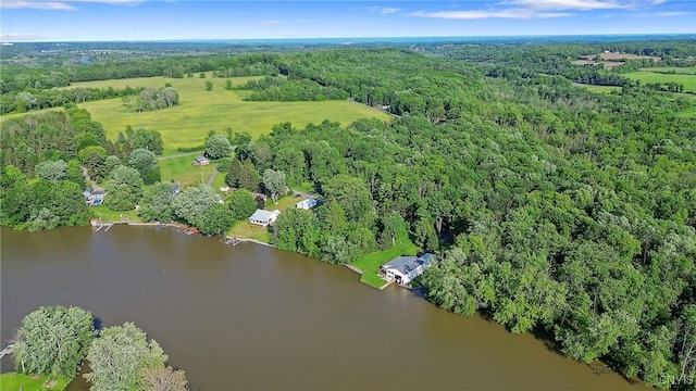 1247 Gallagher Rd, Van Buren, NY 13027 - photo 47