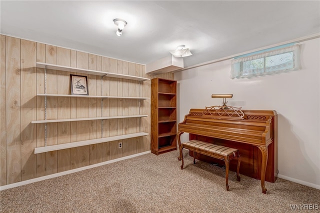 172 Shetland Dr, Amherst, NY 14221 - sitting room featuring carpet flooring and wooden walls