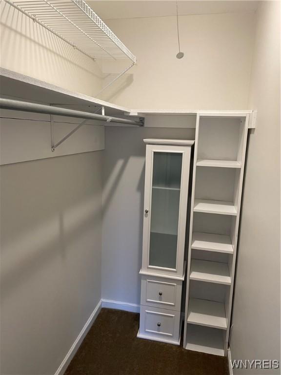 138 Charter Oaks Dr Unit B, Amherst, NY 14228 - spacious closet with dark colored carpet