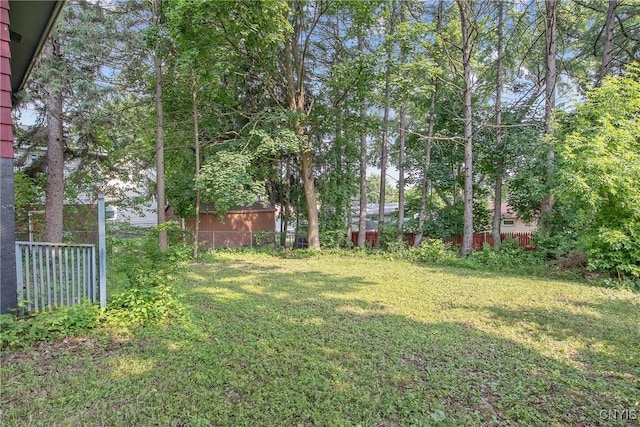 711 Mountainview Ave, Syracuse, NY 13224 - view of yard
