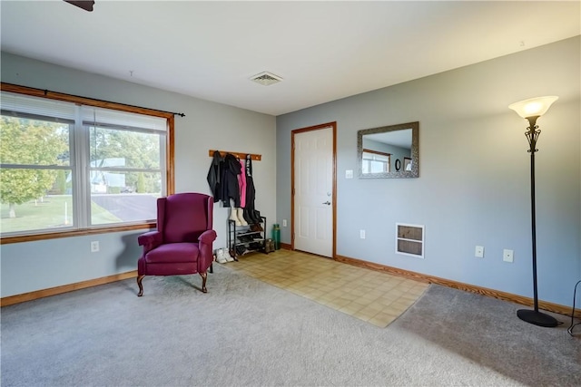 1228 Fitzpatrick Rd, Springport, NY 13021 - photo 7