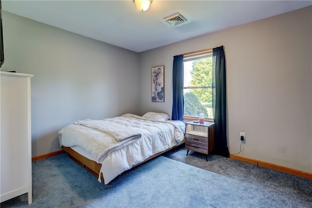 1228 Fitzpatrick Rd, Springport, NY 13021 - photo 23
