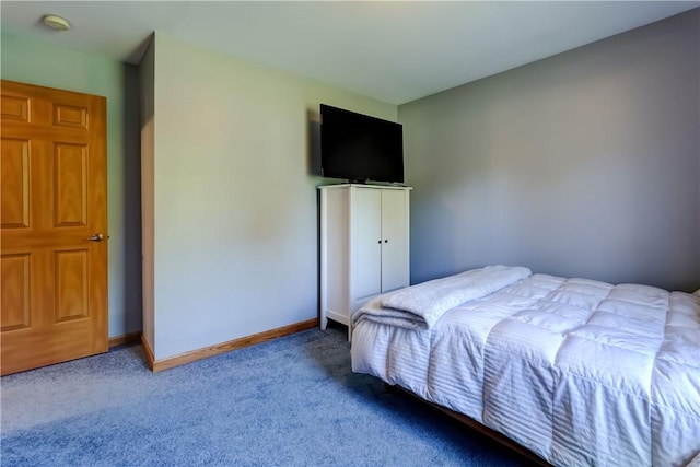1228 Fitzpatrick Rd, Springport, NY 13021 - photo 24